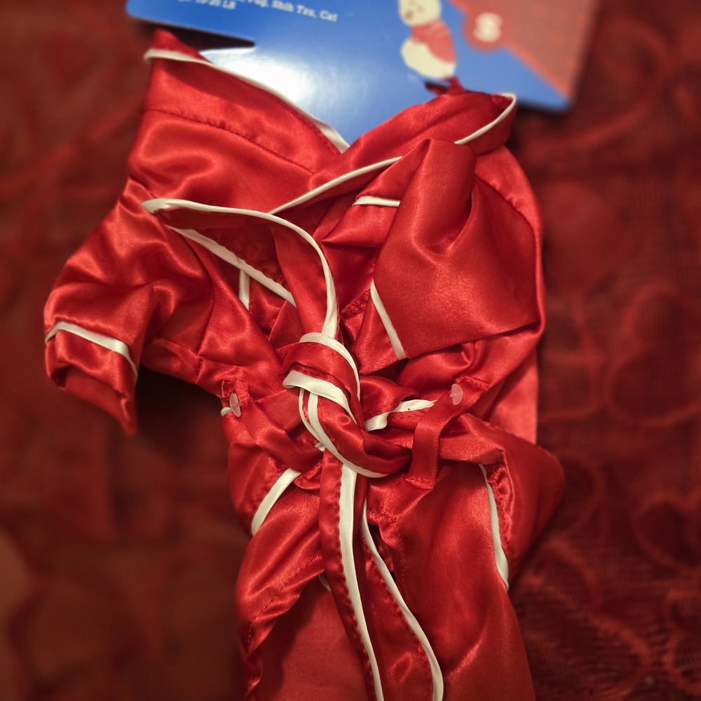 Vibrant Red Pet Robe - Picture 2 of 3